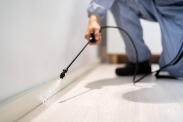 Licensed Termite Control service in Pimmit Hills, VA - Nex Pest Control