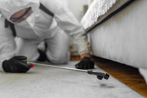 Professional Termite Control technician working in Pimmit Hills, VA