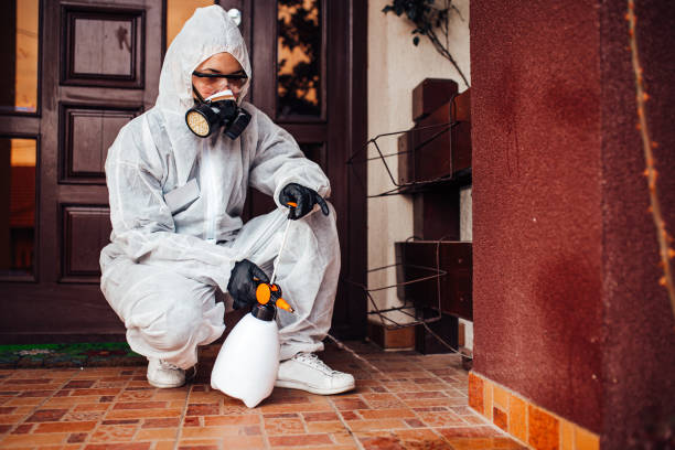 Reliable Termite Control contractor in Pimmit Hills, VA by Nex Pest Control