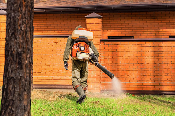 Trusted Ant Control service in Pimmit Hills, VA - Nex Pest Control